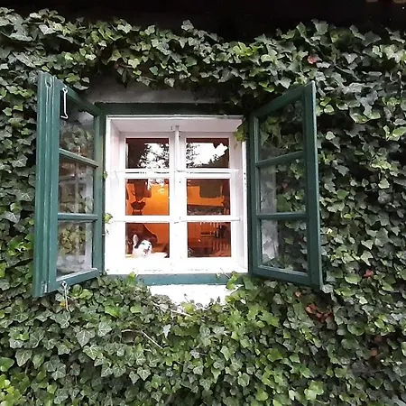 Auszeit Im Gruenen Apartman