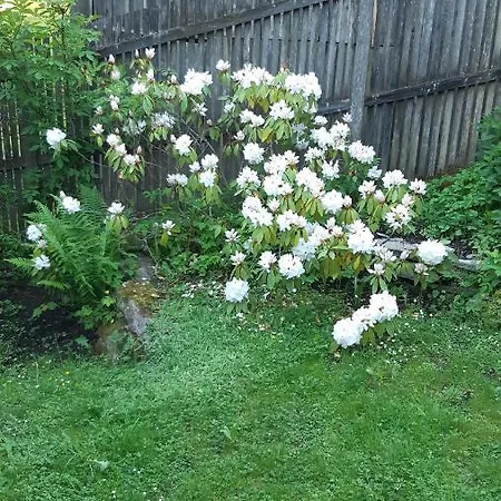 Auszeit Im Gruenen Apartman *