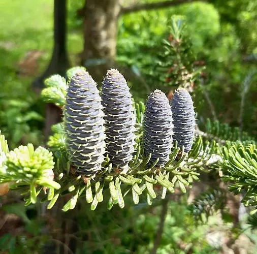 Auszeit Im Gruenen Διαμέρισμα *