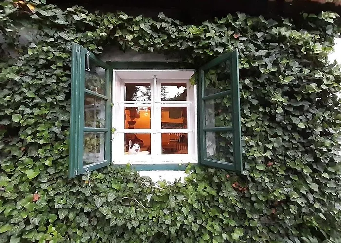 Auszeit Im Gruenen Διαμέρισμα