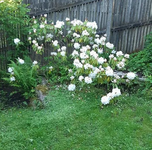 Auszeit Im Gruenen Διαμέρισμα *