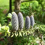 Auszeit Im Gruenen Apartman *